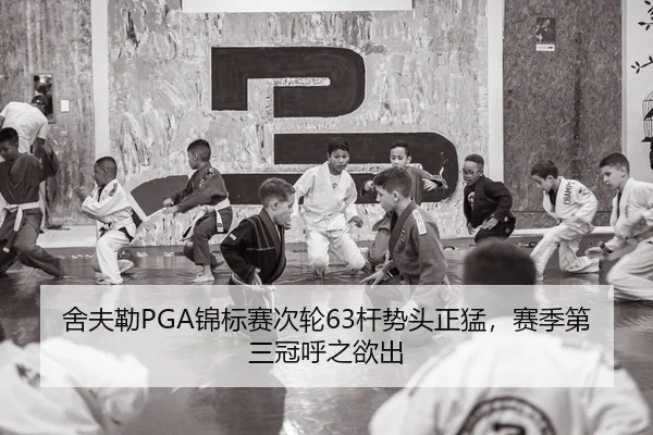 舍夫勒PGA锦标赛次轮63杆势头正猛，赛季第三冠呼之欲出